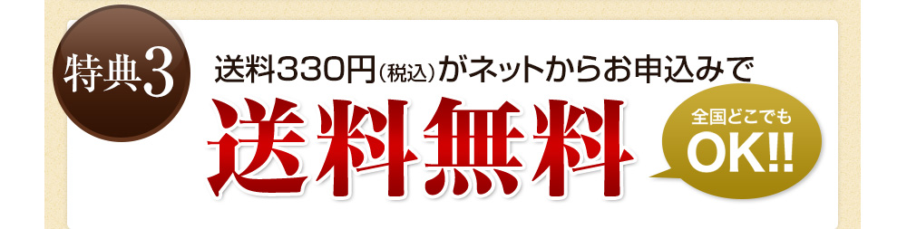 送料無料