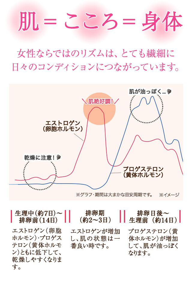 肌＝こころ＝身体