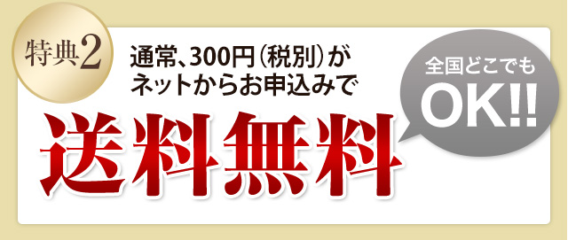 特典2 送料300円がネットからお申込みで 送料無料 全国どこでもOK!!