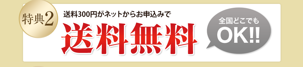 特典2 送料300円がネットからお申込みで 送料無料 全国どこでもOK!!
