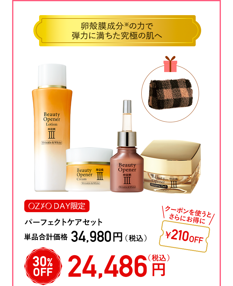 【OZIO DAY限定】パーフェクトケアセット