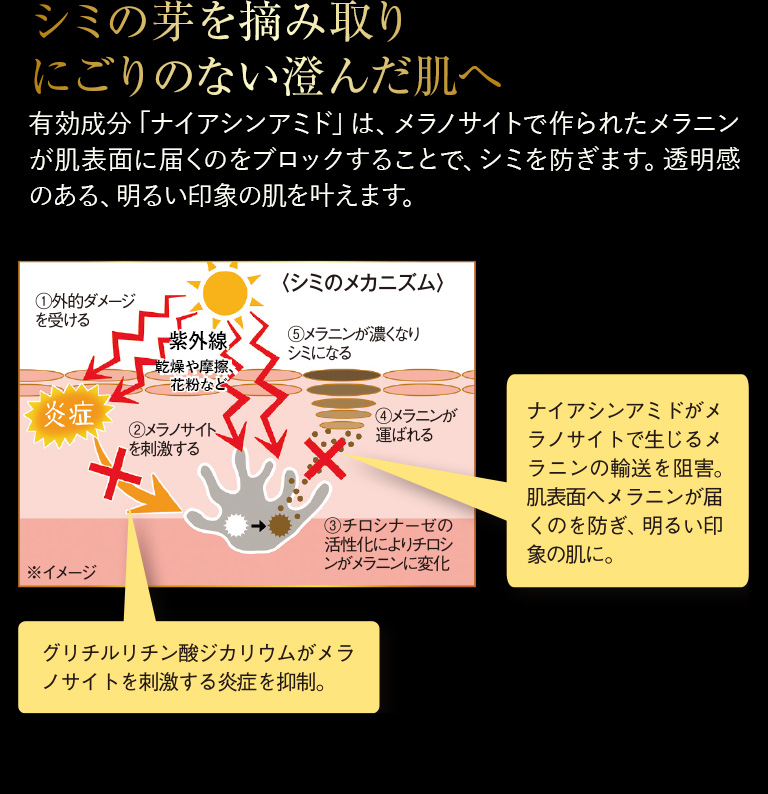 シミの芽を摘み取りにごりのない澄んだ肌へ
