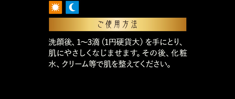 ご使用方法