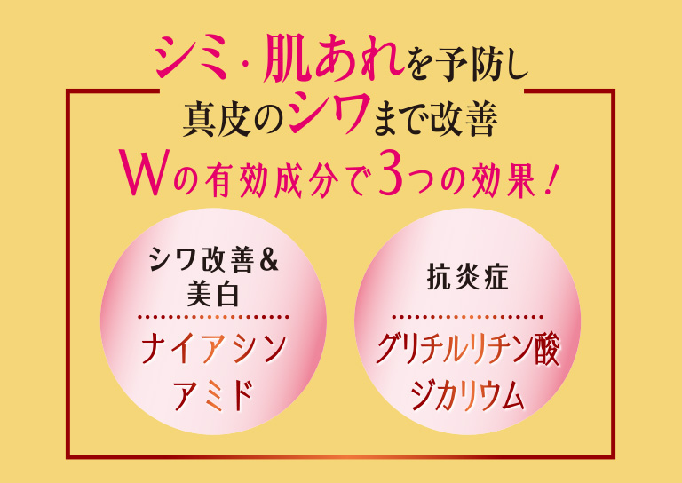 シミ・肌あれを予防し真皮のシワまで改善