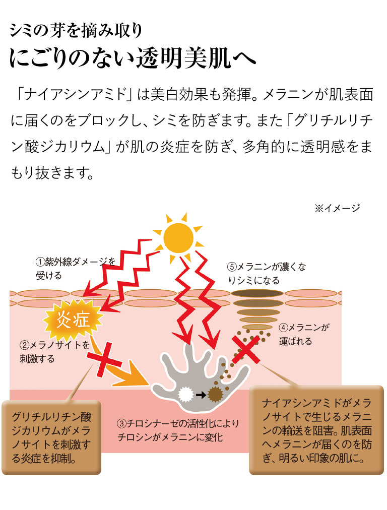 シミの芽を摘み取りにごりのない透明美肌へ