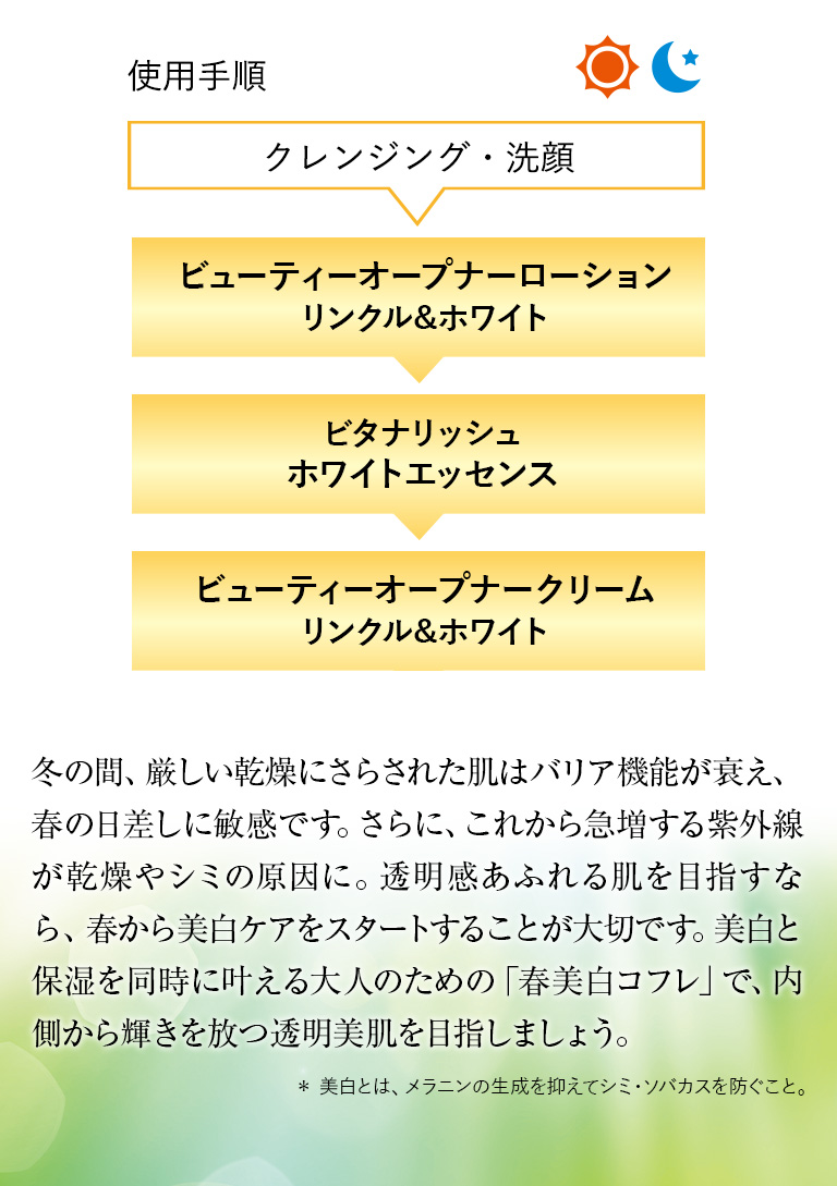 使用手順