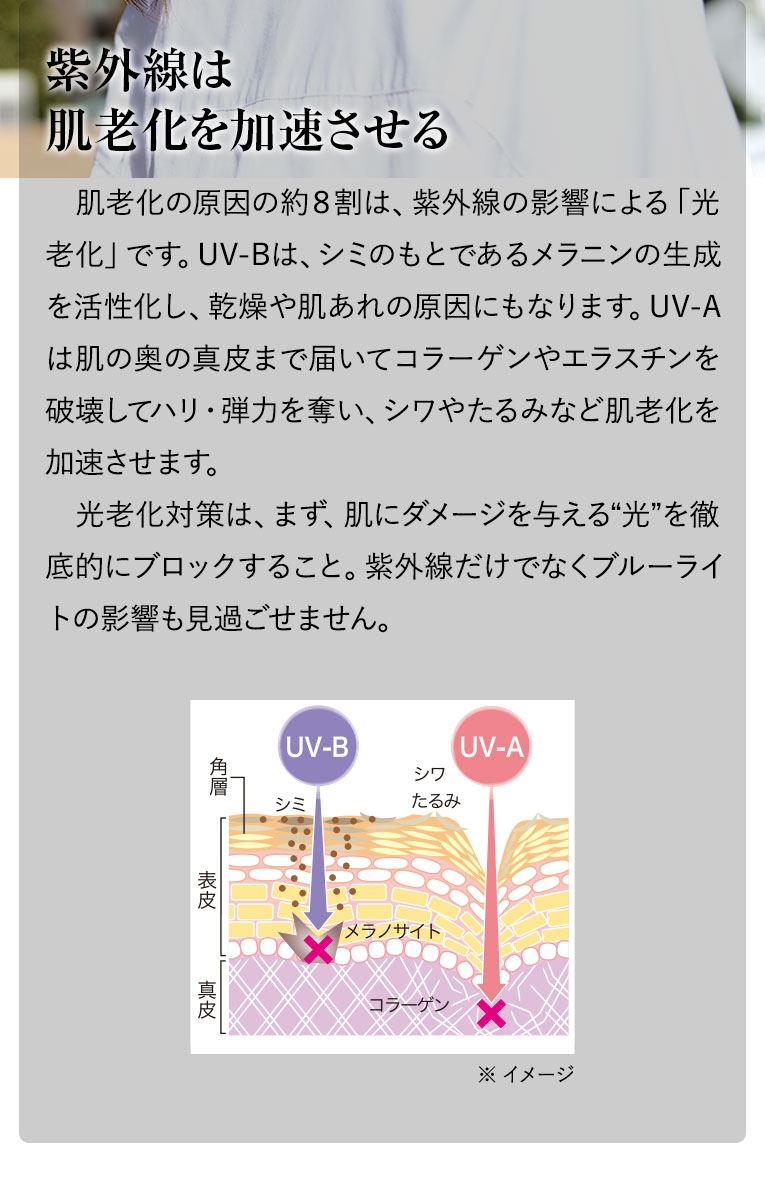 紫外線は肌老化を加速させる