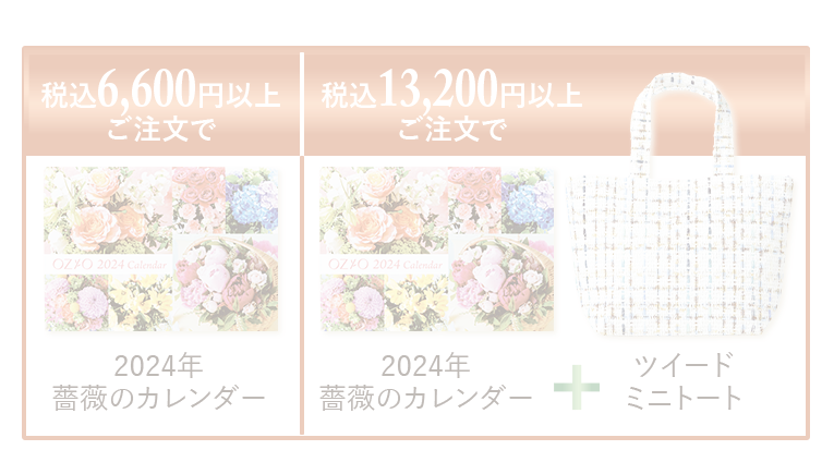 プレゼント