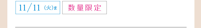 数量限定