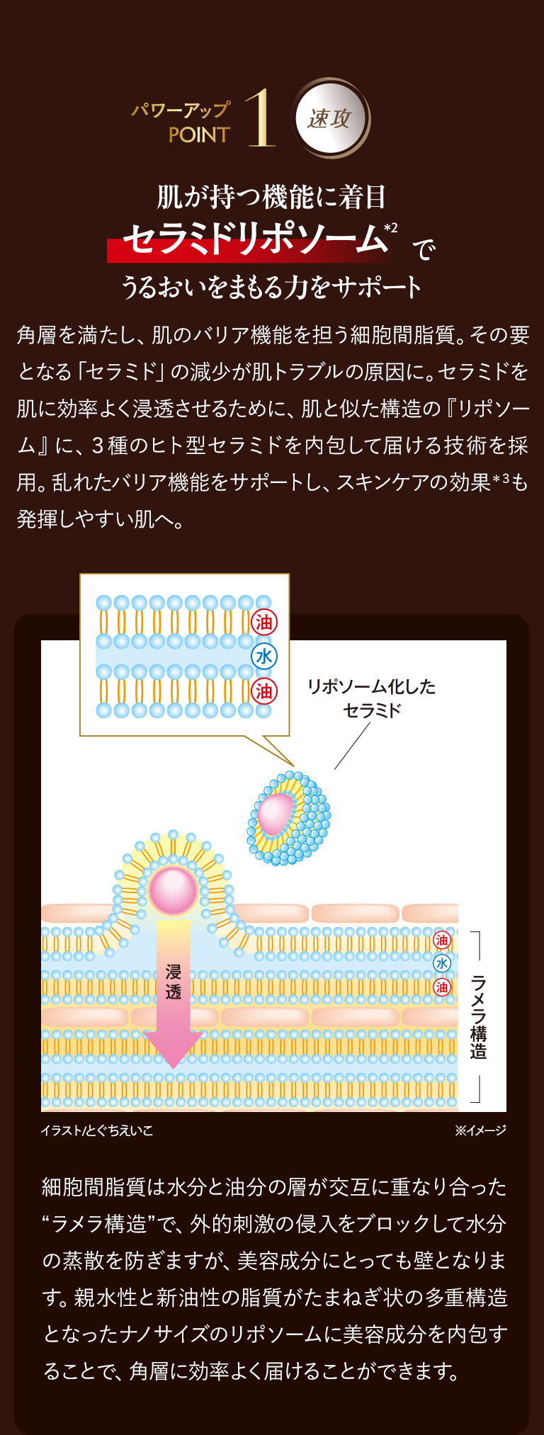 パワーアップポイント1　速攻