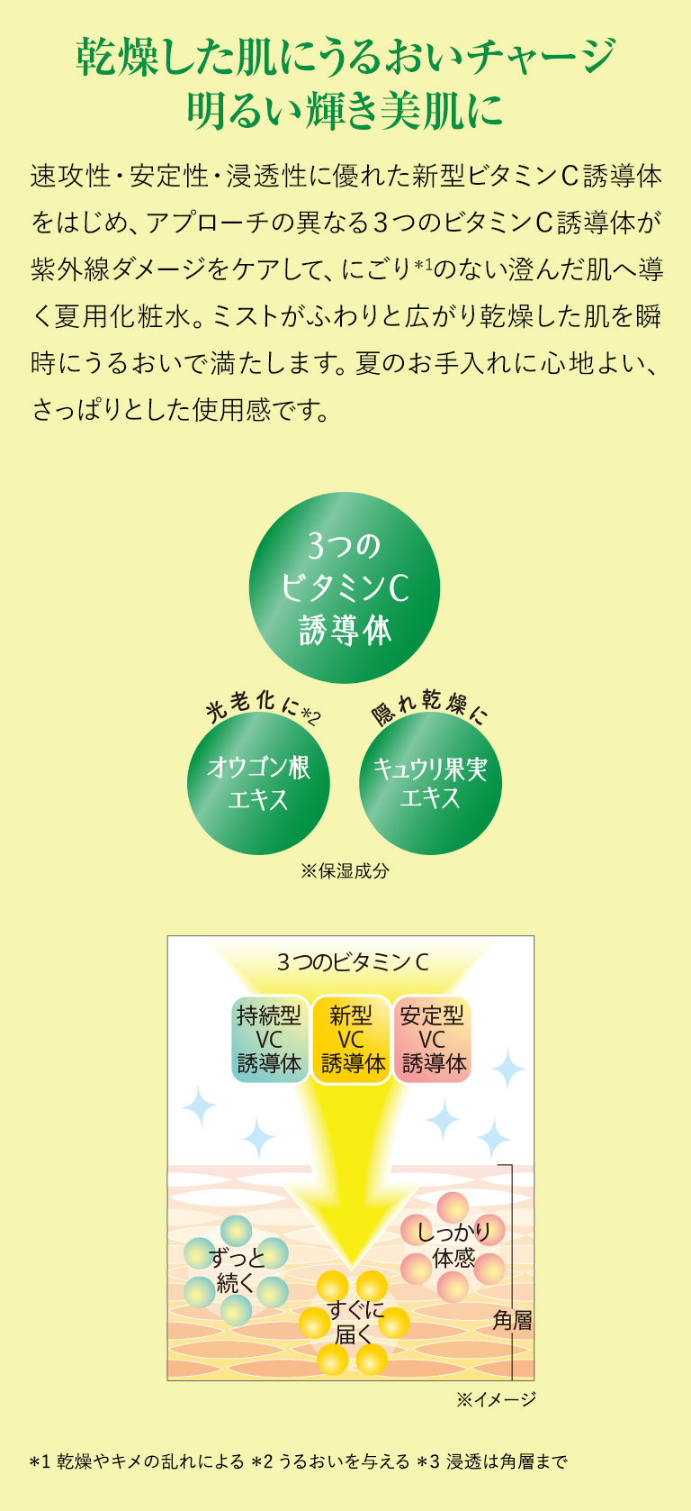 乾燥した肌にうるおいチャージ明るい輝き美肌に