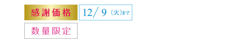 感謝価格　12/9（火）まで　数量限定