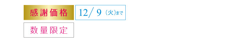 感謝価格　12/9（火）まで　数量限定