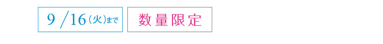 9/16（火）まで　数量限定