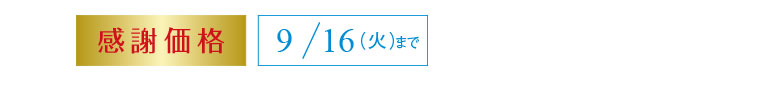 感謝価格　9/16（火）まで