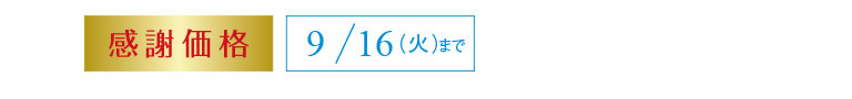 感謝価格　9/16（火）まで