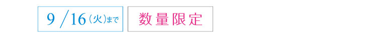 9/16（火）まで　数量限定