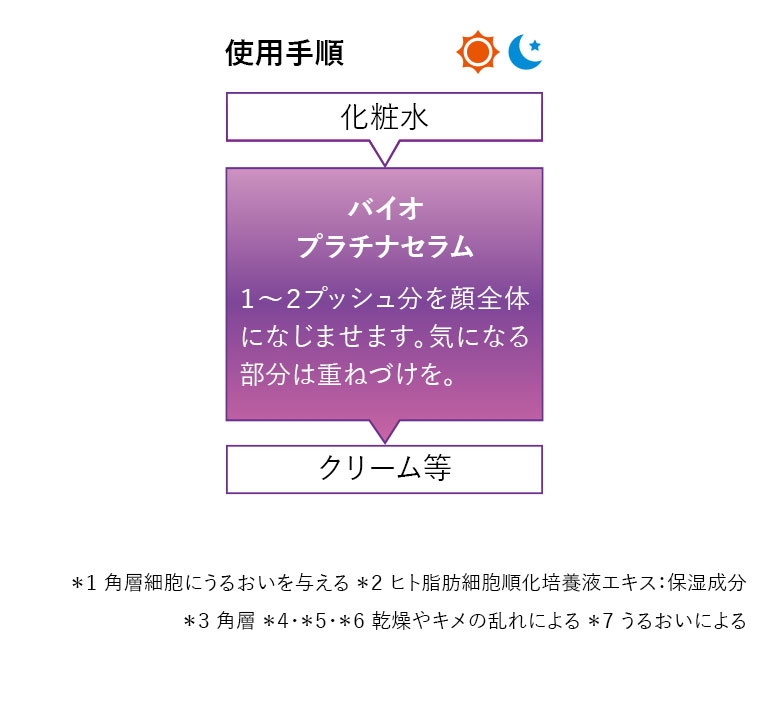 使用手順