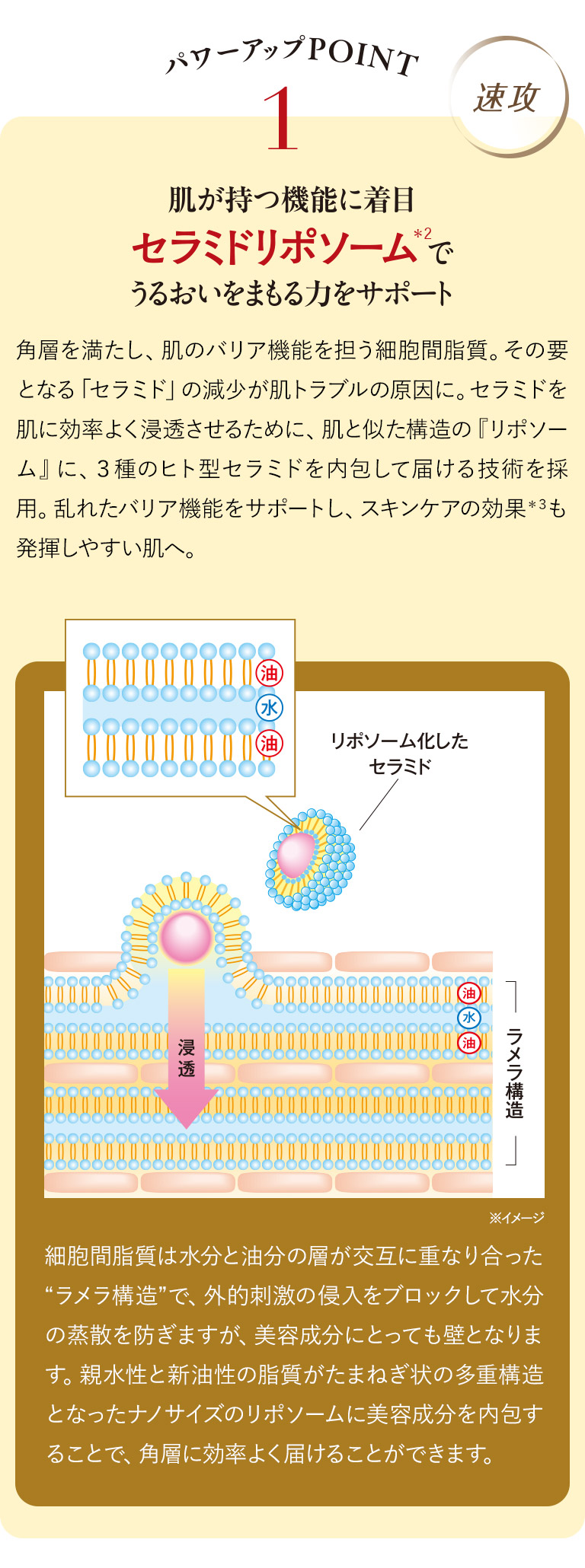 パワーアップPOINT1