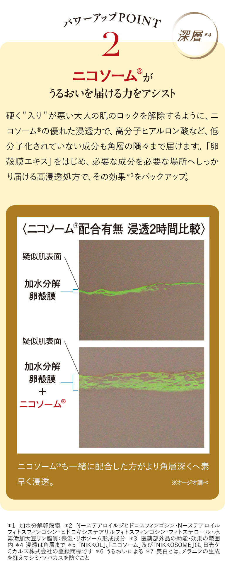 パワーアップPOINT2
