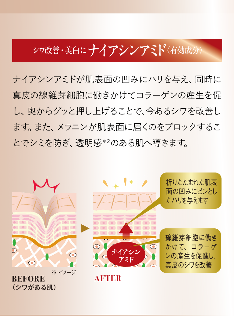シワ改善・美白にナイアシンアミド＜有効成分＞