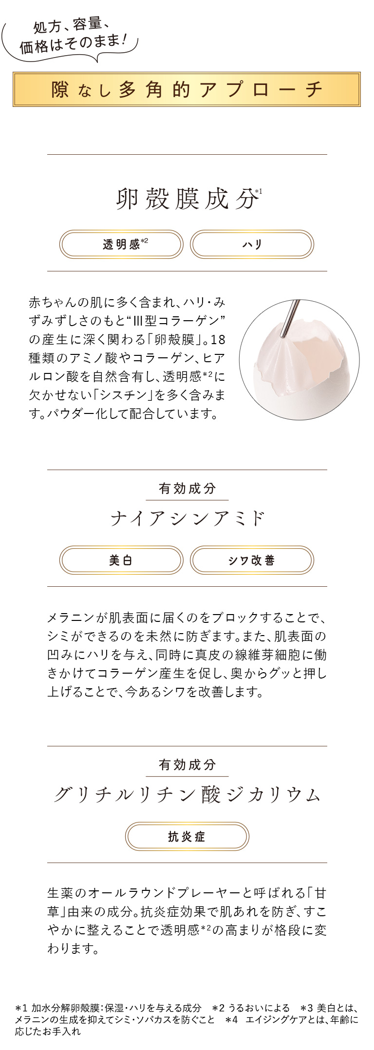 隙なし多角的アプローチ