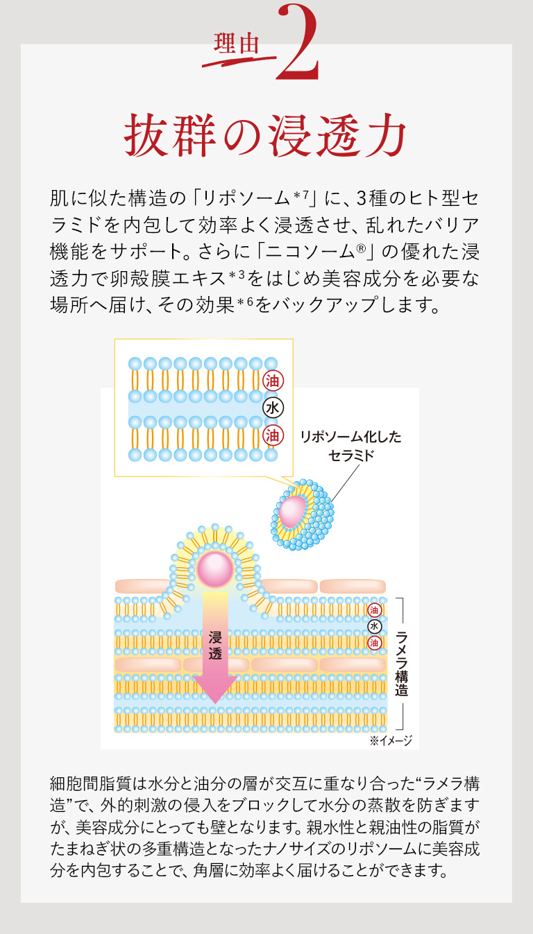 理由2　抜群の浸透力