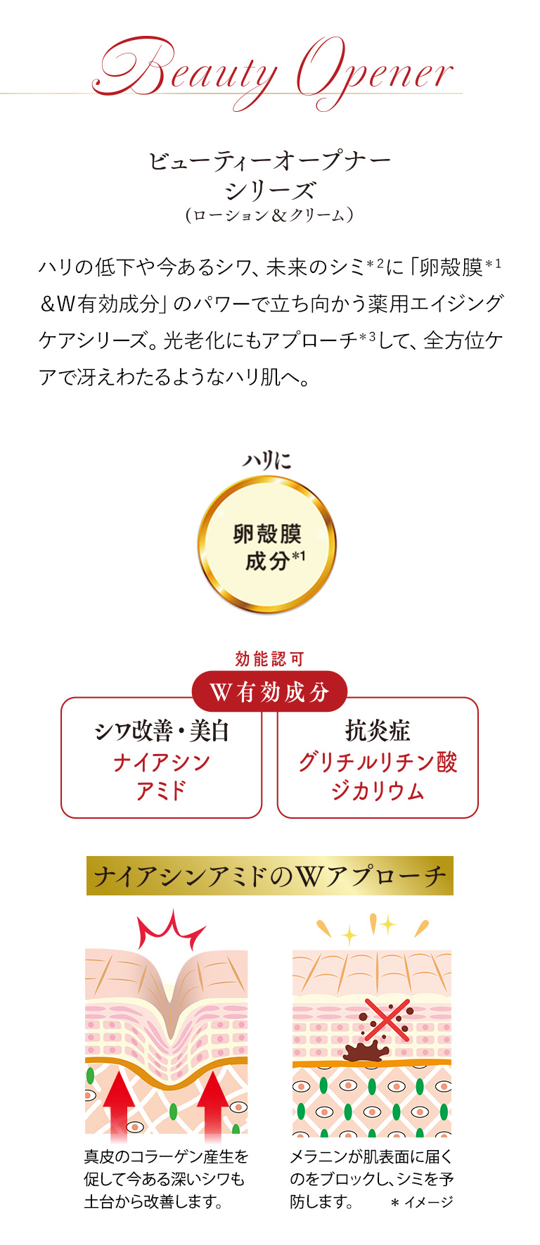 ビューティーオープナーシリーズ（ローション＆クリーム）