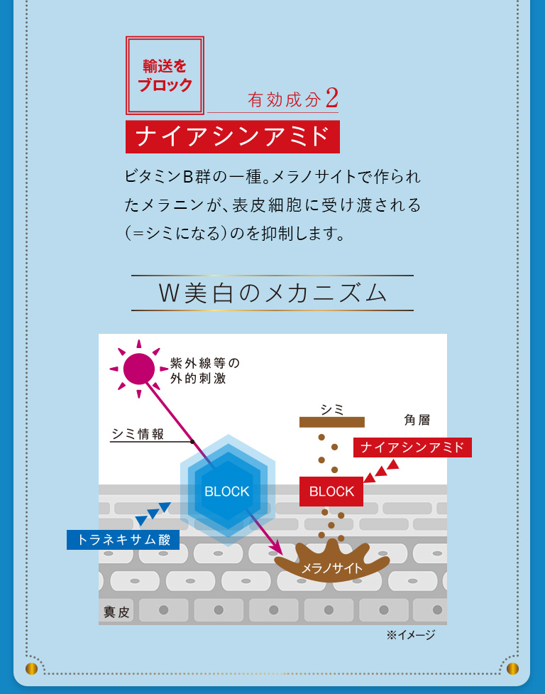 ナイアシンアミド