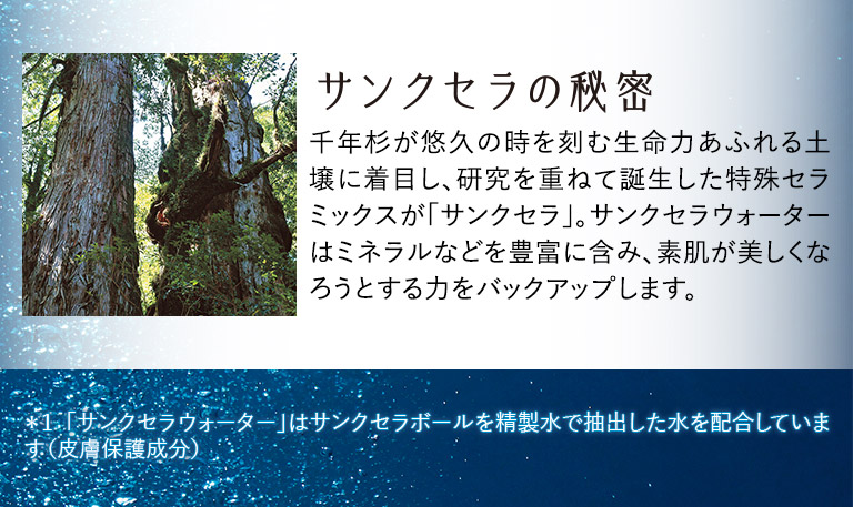 サンクセラの秘密