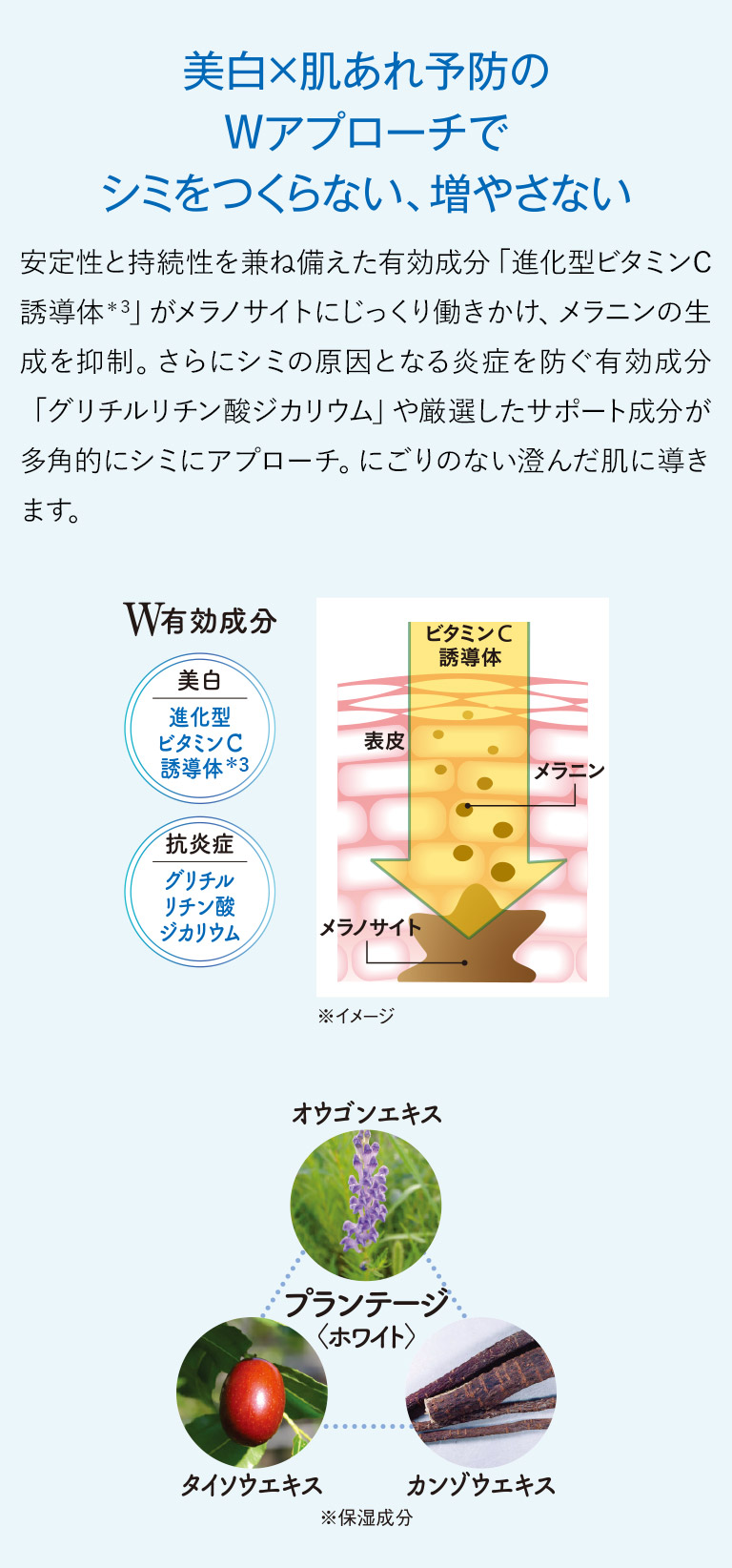 美白×肌あれ予防のWアプローチでシミをつくらない、増やさない