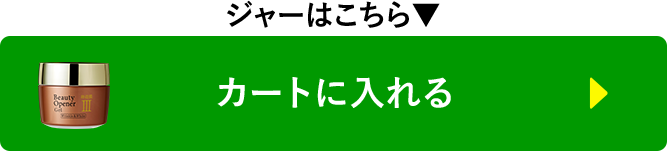 カートに入れる