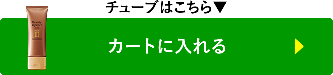 カートに入れる