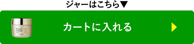 カートに入れる