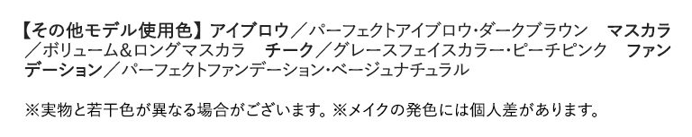 その他モデル使用色