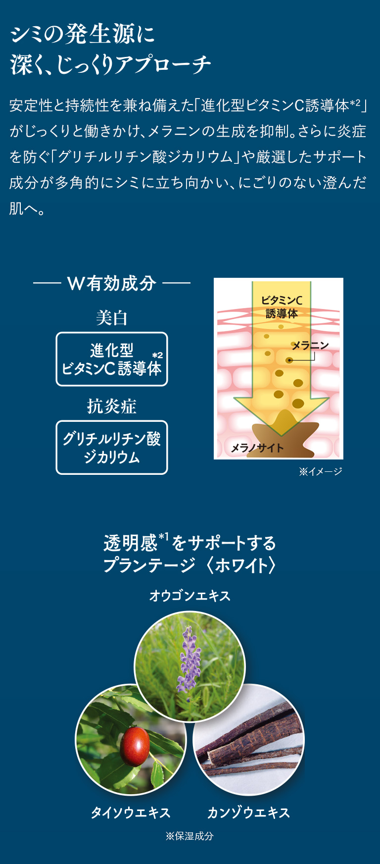 シミの発生源に深く、じっくりアプローチ