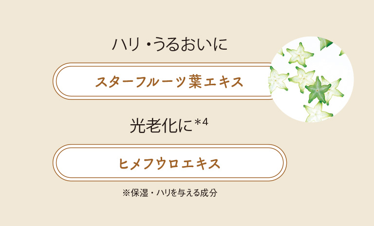 ハリ・うるおいに　光老化に