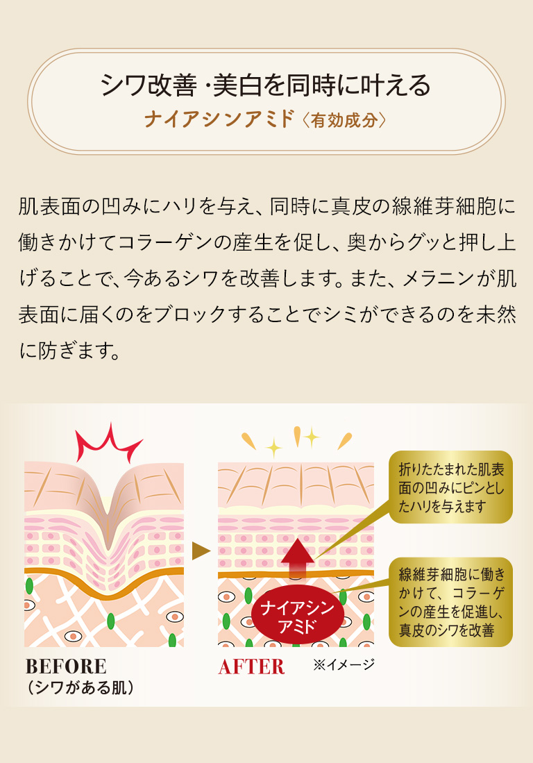 シワ改善・美白を同時に叶える
