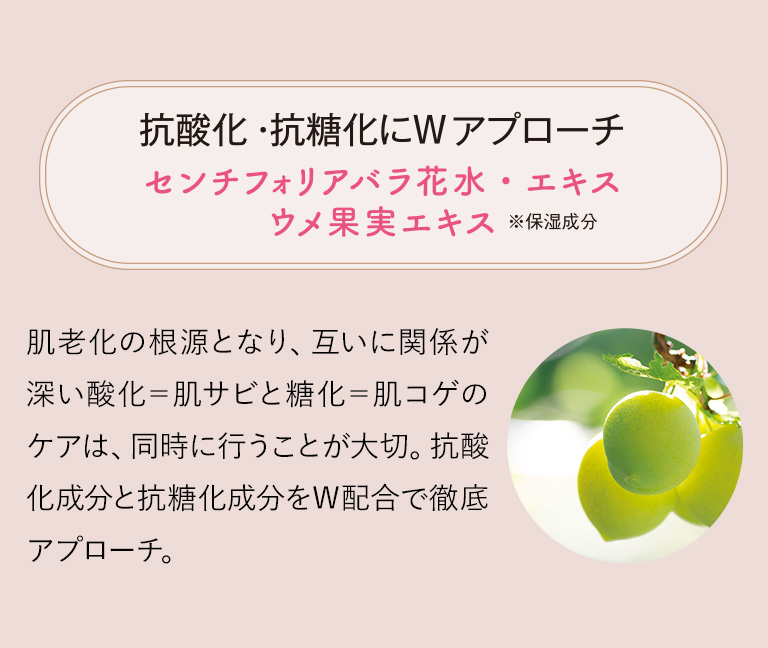 抗酸化・抗糖化にWアプローチ