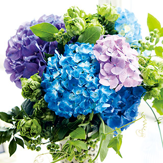 薔薇の壁紙