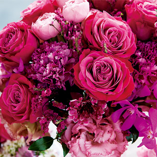 薔薇の壁紙