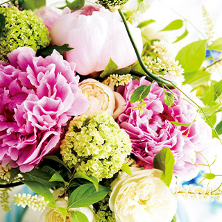 薔薇の壁紙