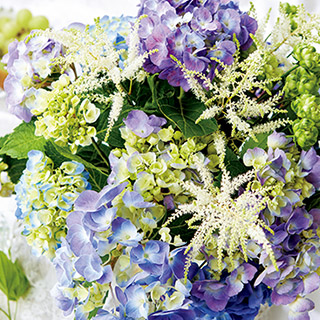 薔薇の壁紙