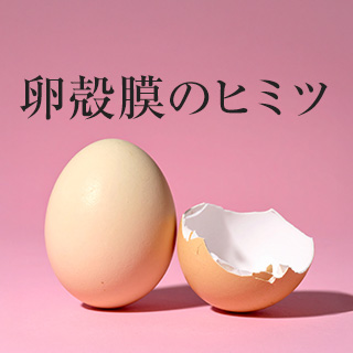 卵殻膜のヒミツ