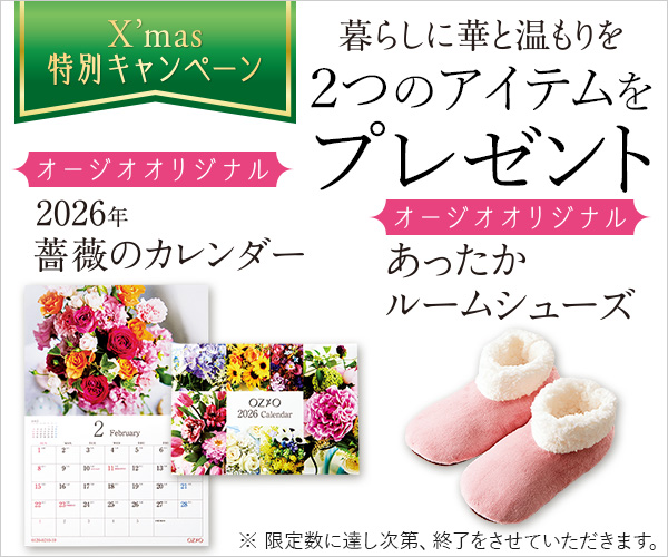 2つのアイテムをプレゼント