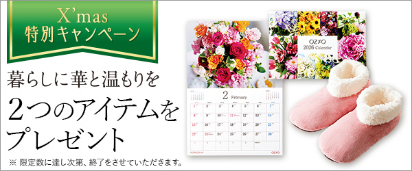 2つのアイテムをプレゼント