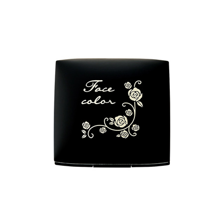 カラーケース（チップ別売）