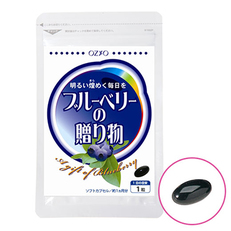ブルーベリーの贈り物 1袋