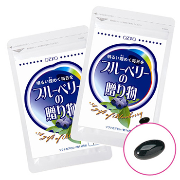 ブルーベリーの贈り物 2袋